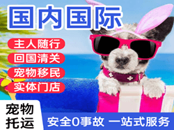 庆阳机场快递国际宠物托运 【国